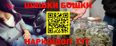 прущие грибы Славгород