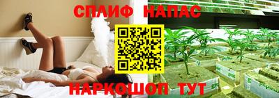 прущие грибы Славгород