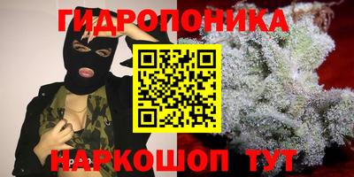 прущие грибы Славгород