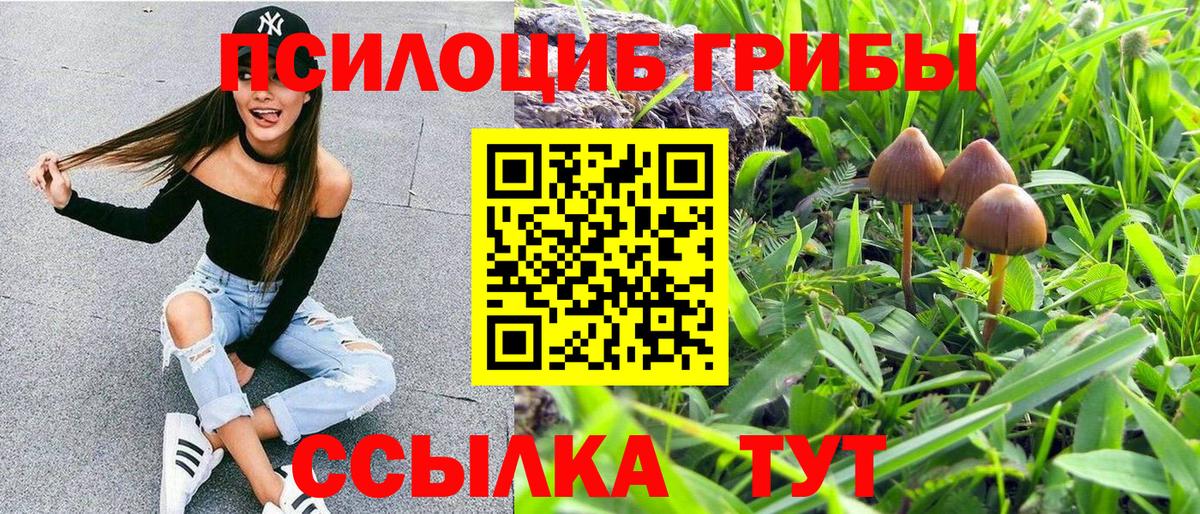 Галлюциногенные грибы GOLDEN TEACHER  Вход с VPN  Пугачёв 